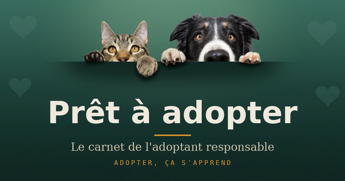 Prêt à adopter